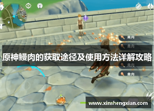 原神鳗肉的获取途径及使用方法详解攻略