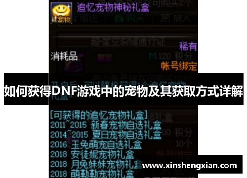 如何获得DNF游戏中的宠物及其获取方式详解