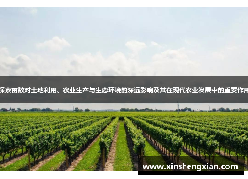 探索亩数对土地利用、农业生产与生态环境的深远影响及其在现代农业发展中的重要作用