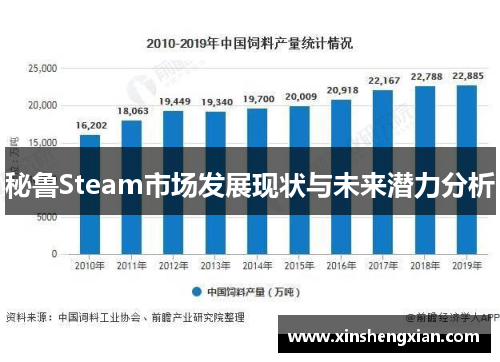 秘鲁Steam市场发展现状与未来潜力分析